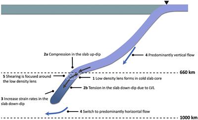 Orphaning Regimes: The Missing Link Between Flattened and Penetrating Slab Morphologies